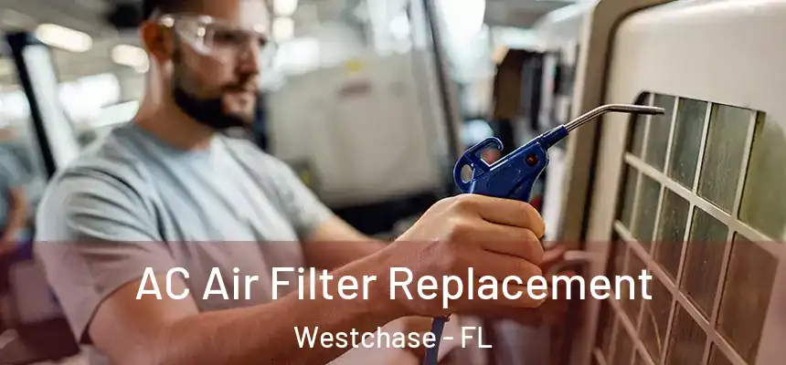  AC Air Filter Replacement Westchase - FL