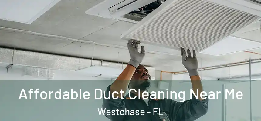 Affordable Duct Cleaning Near Me Westchase - FL