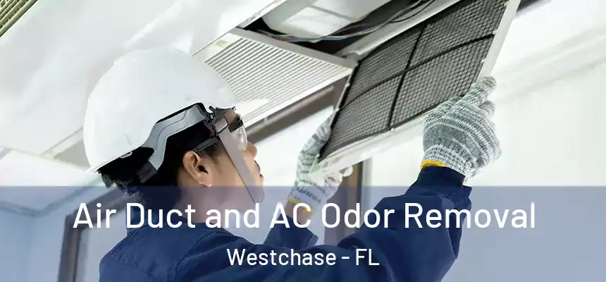Air Duct and AC Odor Removal Westchase - FL