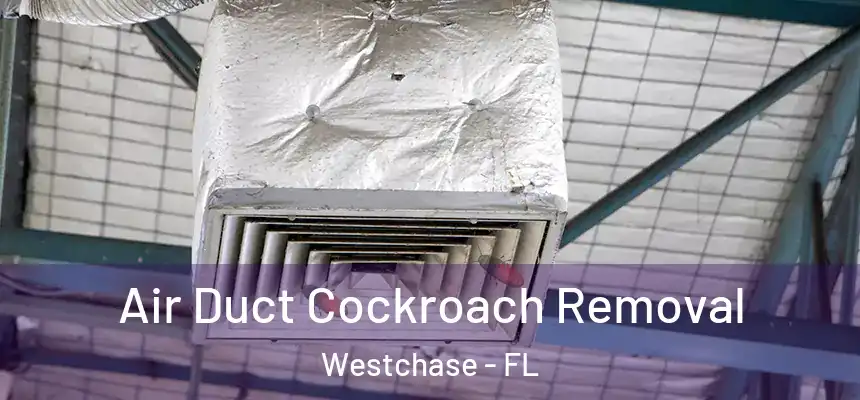  Air Duct Cockroach Removal Westchase - FL