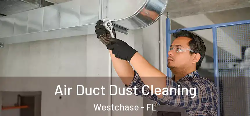Air Duct Dust Cleaning Westchase - FL