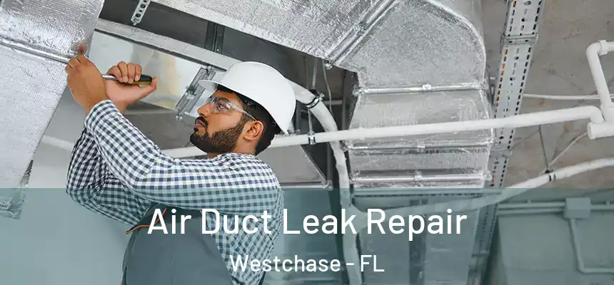 Air Duct Leak Repair Westchase - FL