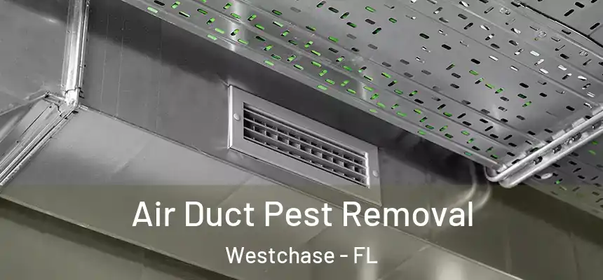 Air Duct Pest Removal Westchase - FL