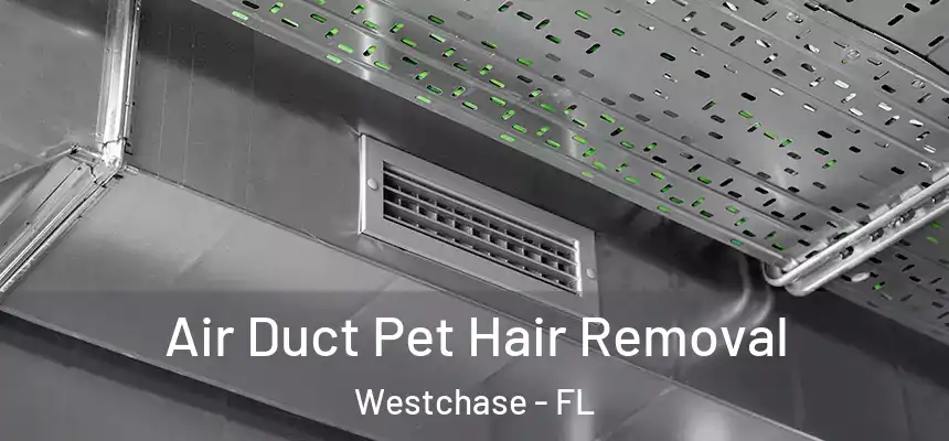 Air Duct Pet Hair Removal Westchase - FL