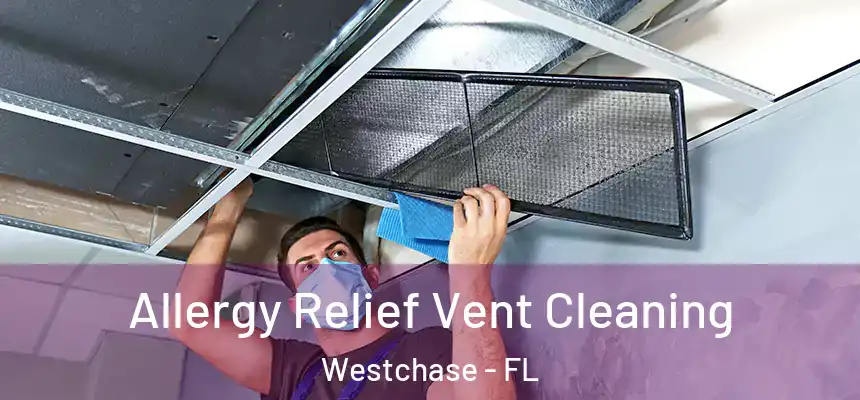 Allergy Relief Vent Cleaning Westchase - FL