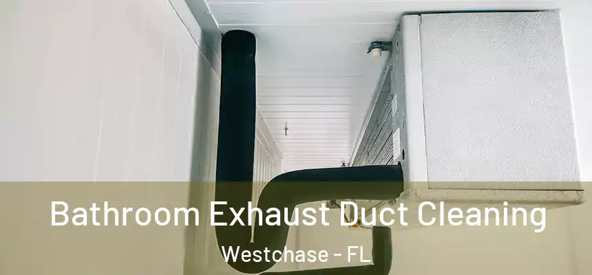 Bathroom Exhaust Duct Cleaning Westchase - FL