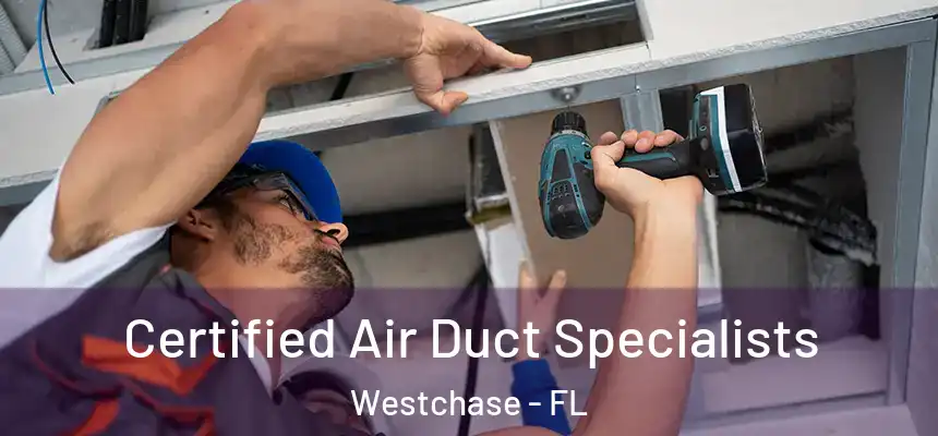  Certified Air Duct Specialists Westchase - FL