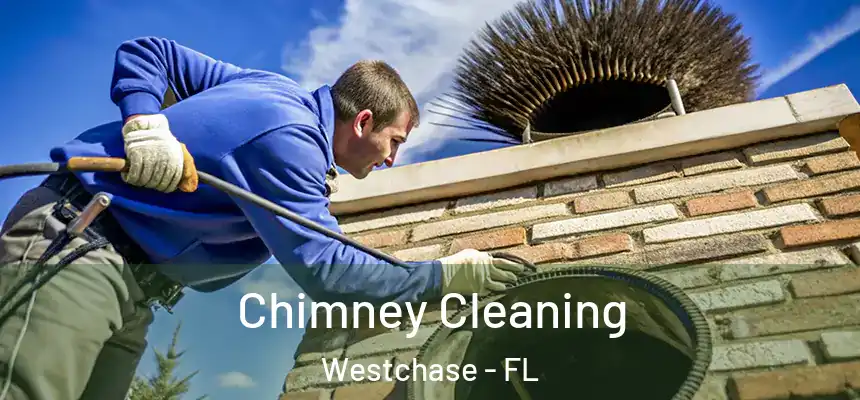 Chimney Cleaning Westchase - FL
