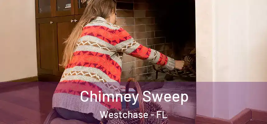 Chimney Sweep Westchase - FL