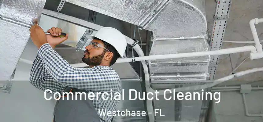 Commercial Duct Cleaning Westchase - FL