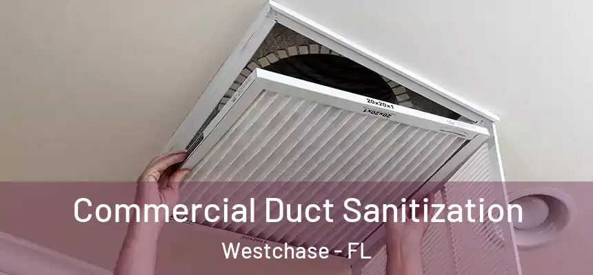 Commercial Duct Sanitization Westchase - FL