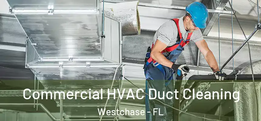 Commercial HVAC Duct Cleaning Westchase - FL