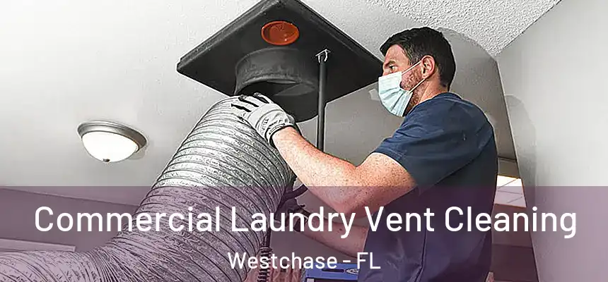 Commercial Laundry Vent Cleaning Westchase - FL