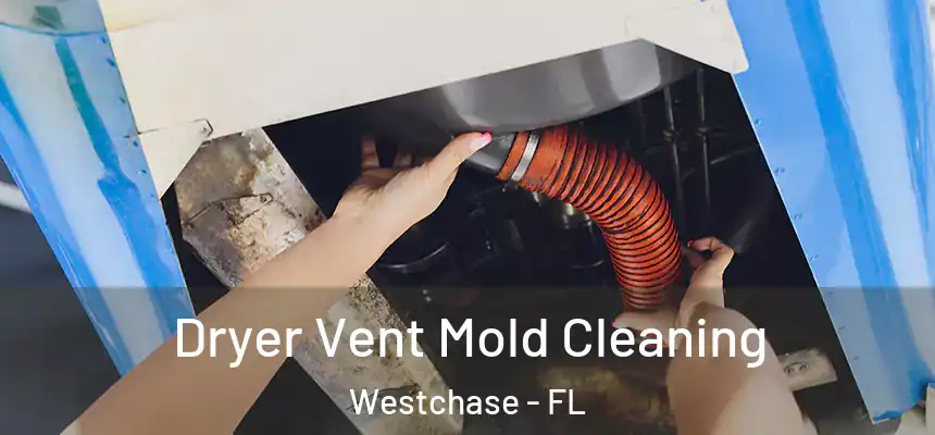 Dryer Vent Mold Cleaning Westchase - FL