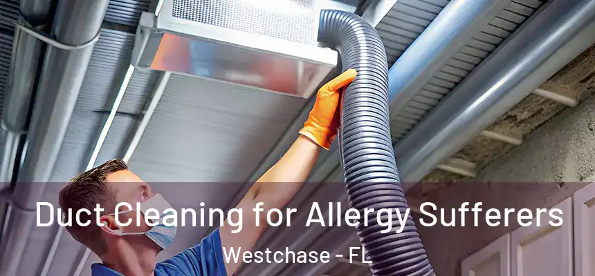  Duct Cleaning for Allergy Sufferers Westchase - FL