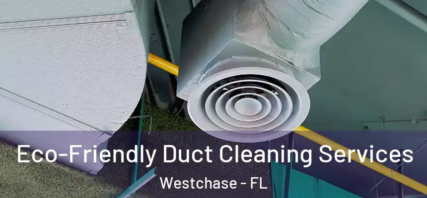 Eco-Friendly Duct Cleaning Services Westchase - FL