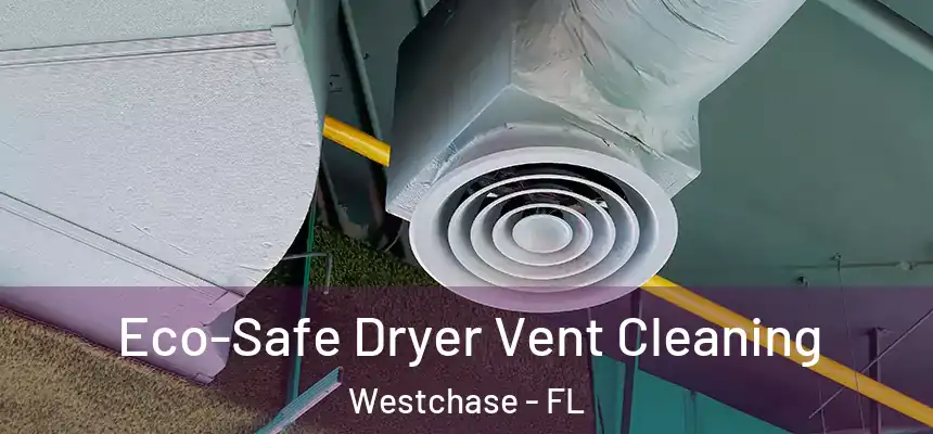 Eco-Safe Dryer Vent Cleaning Westchase - FL