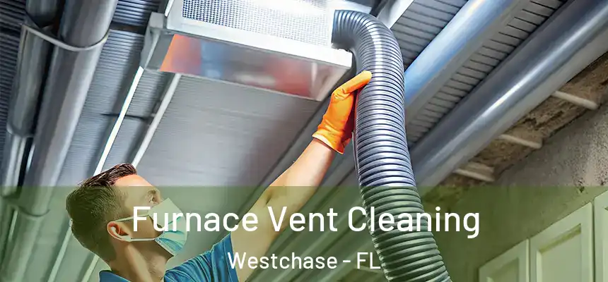 Furnace Vent Cleaning Westchase - FL