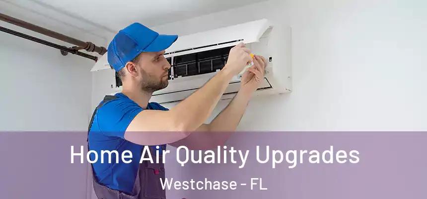Home Air Quality Upgrades Westchase - FL