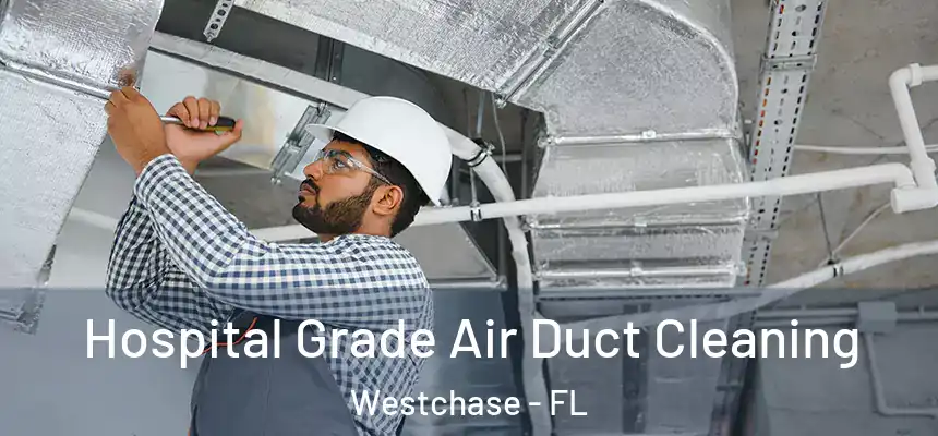 Hospital Grade Air Duct Cleaning Westchase - FL