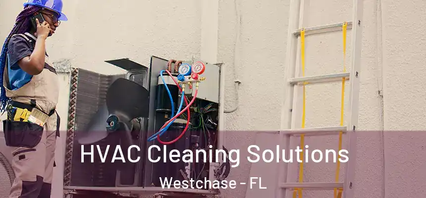 HVAC Cleaning Solutions Westchase - FL