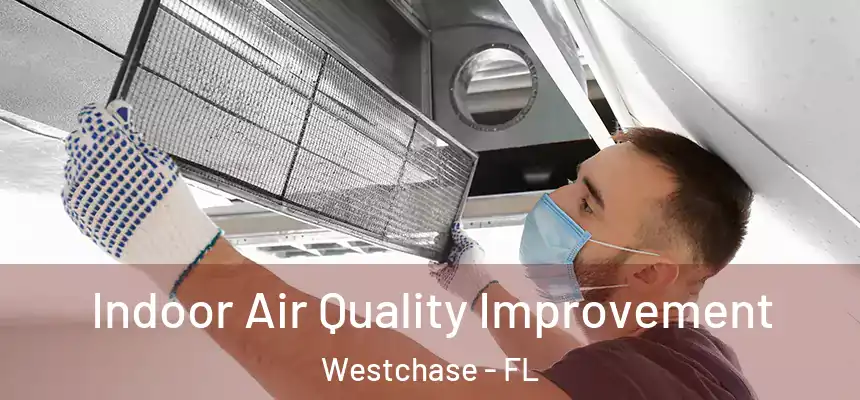 Indoor Air Quality Improvement Westchase - FL