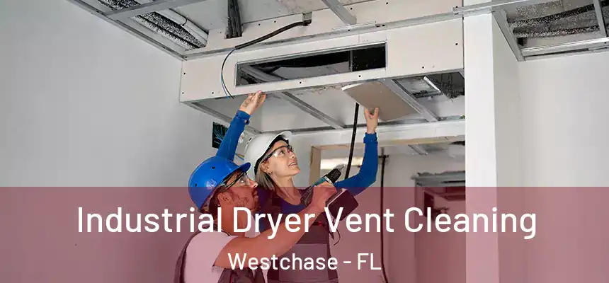Industrial Dryer Vent Cleaning Westchase - FL