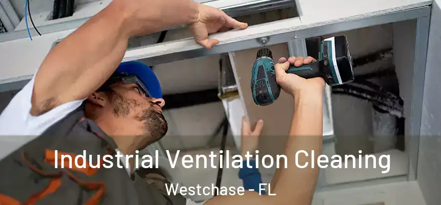 Industrial Ventilation Cleaning Westchase - FL