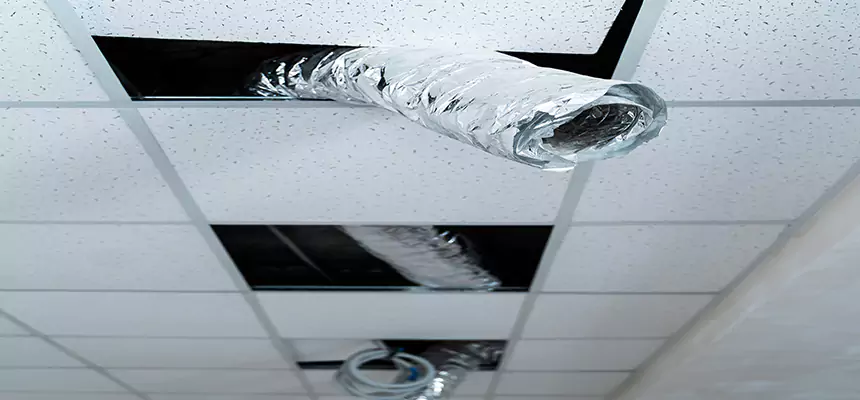 Our Air Duct Pet Hair Removal Services in Westchase, FL