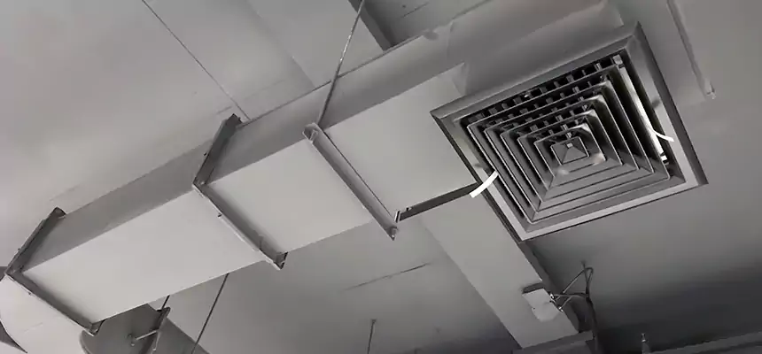 Restorative Allergy Relief Vent Cleaning – Coil, Blower & Housing Detail in Westchase