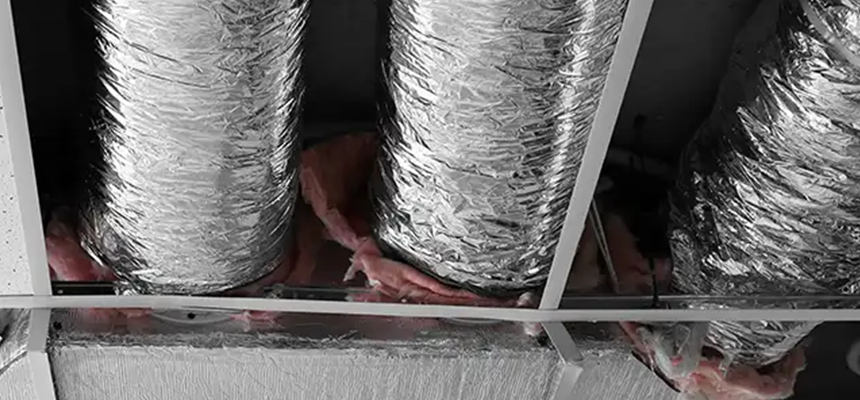 Scalable Commercial Multi‑Unit Dryer Vent Camera Inspection in Westchase, FL