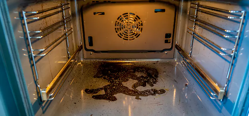 Our Dryer Vent Mold Cleaning Services in Westchase, FL