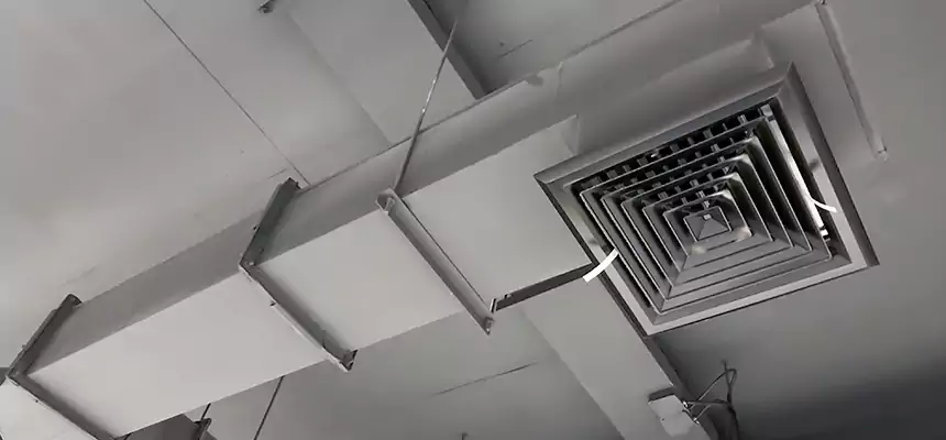 Our Rodent Droppings In Vents Services in Westchase, FL