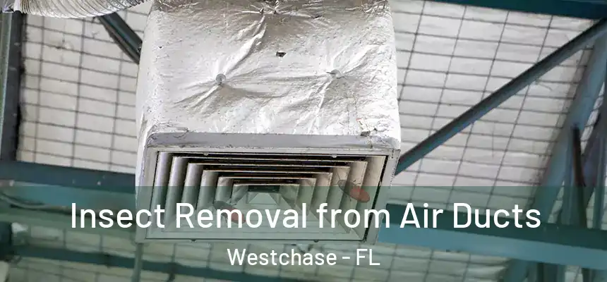 Insect Removal from Air Ducts Westchase - FL