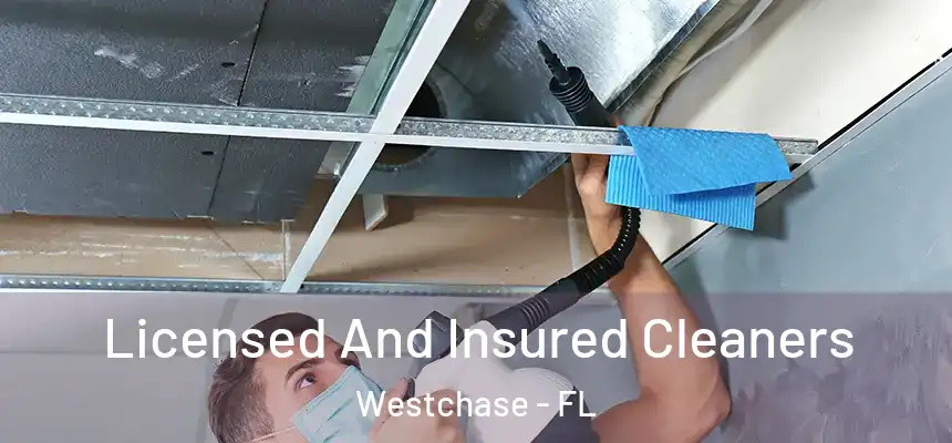 Licensed And Insured Cleaners Westchase - FL