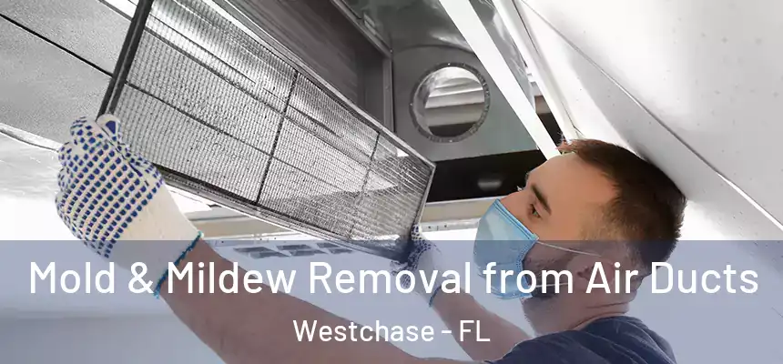Mold & Mildew Removal from Air Ducts Westchase - FL