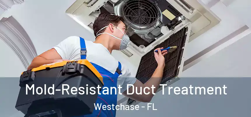 Mold-Resistant Duct Treatment Westchase - FL