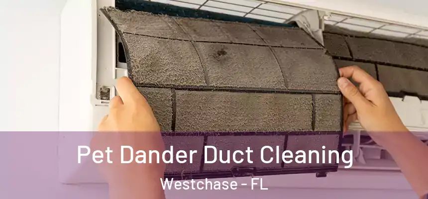 Pet Dander Duct Cleaning Westchase - FL