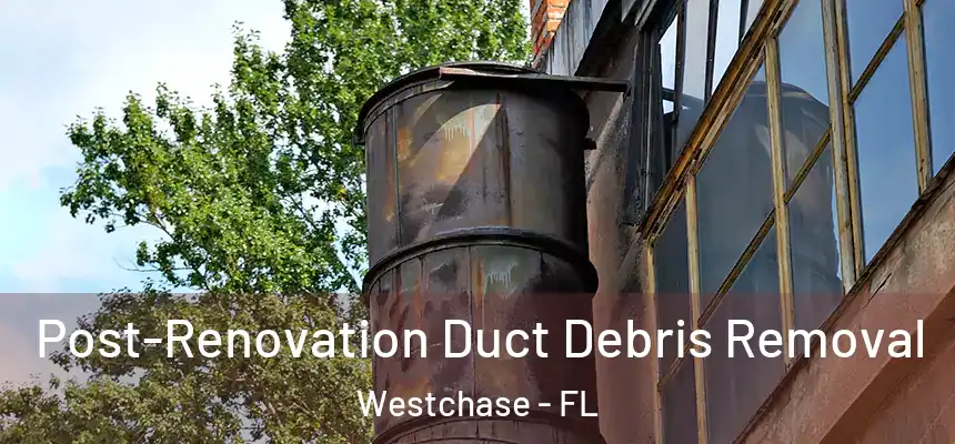 Post-Renovation Duct Debris Removal Westchase - FL
