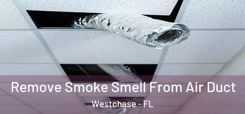 Remove Smoke Smell From Air Duct Westchase - FL