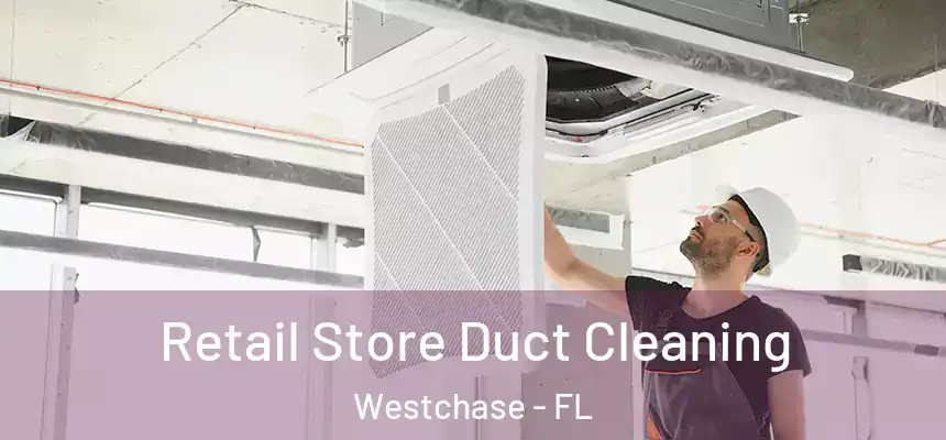 Retail Store Duct Cleaning Westchase - FL