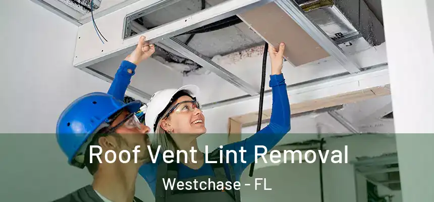 Roof Vent Lint Removal Westchase - FL