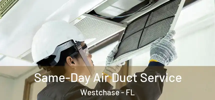 Same-Day Air Duct Service Westchase - FL