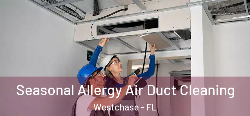 Seasonal Allergy Air Duct Cleaning Westchase - FL