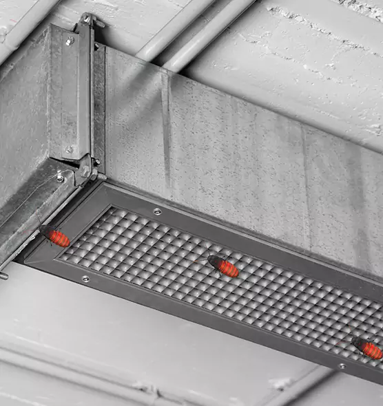 About Air Duct Cockroach Removal in Westchase, FL