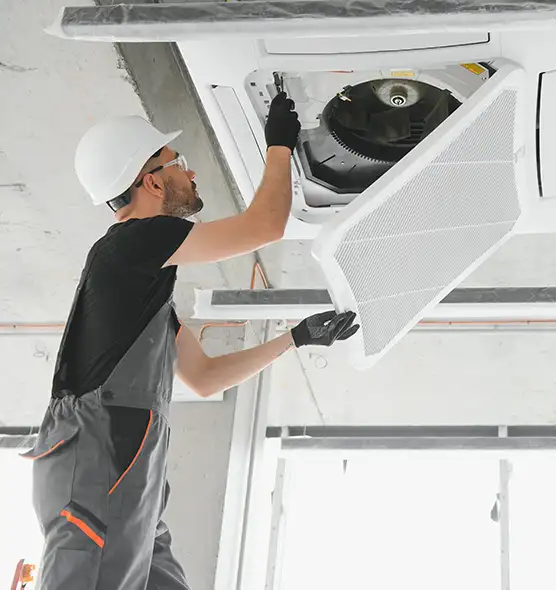 About Air Duct Rodent Removal in Westchase, FL