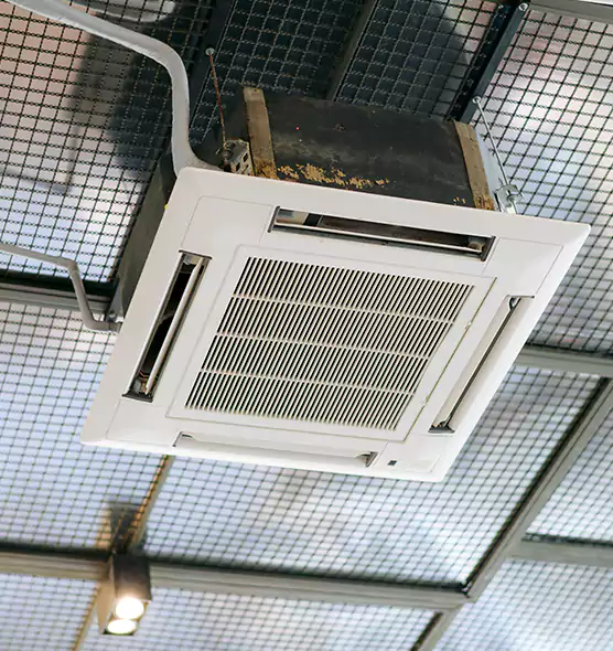 Top-Notch Allergy Relief Vent Cleaning Services in Westchase, FL