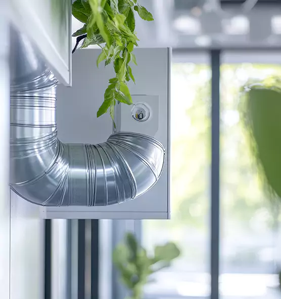 Professional Eco-Friendly Duct Cleaning Services in Westchase, FL