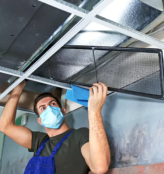Professional Home Ventilation Cleaning in Westchase, FL