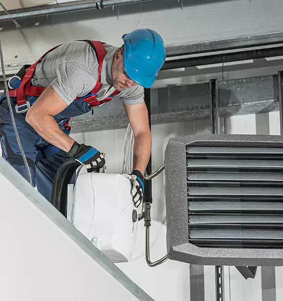 About HVAC Mold Remediation Service in Westchase, FL